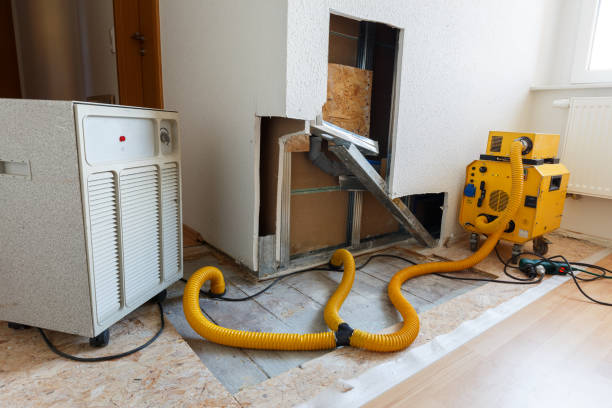 Best Emergency Mold Remediation  in South Hill, WA